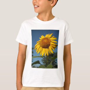 Morning Sunflower T-Shirt
