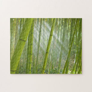Morning sunlight filtering through bamboo jigsaw puzzle