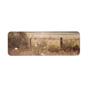 Morning Sunlight Return Address Label