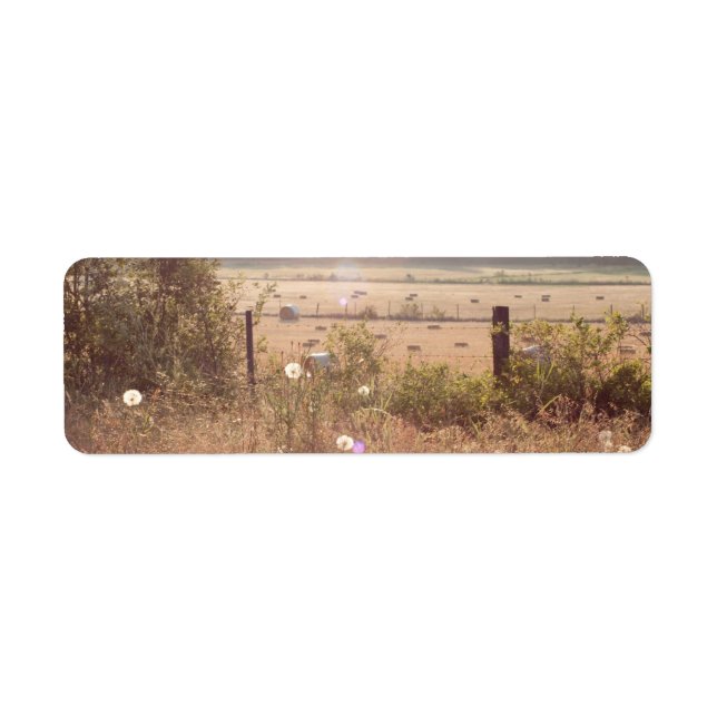 Morning Sunlight Return Address Label (Front)
