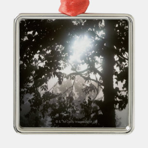Morning sunlight through foliage of jungle metal ornament