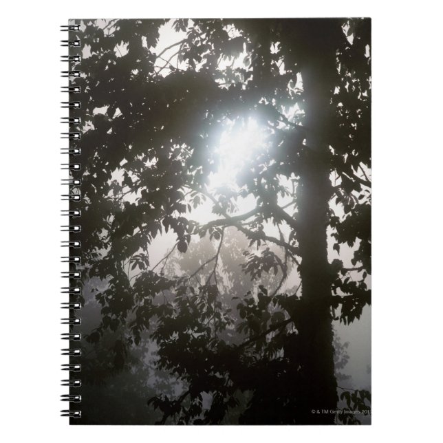 Morning sunlight through foliage of jungle notebook (Front)