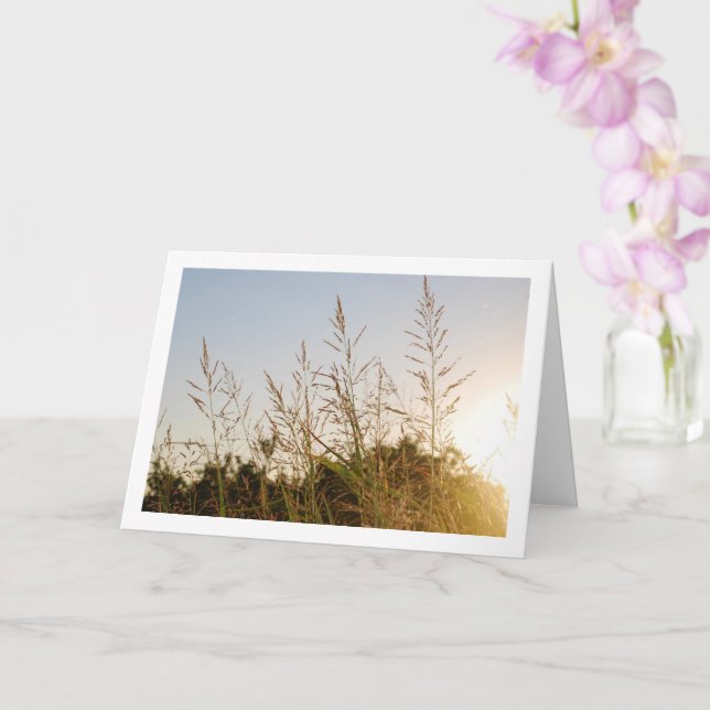 Morning Sunrise through Country Grass Card (Orchid)
