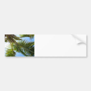 Morning under the palms bumper sticker