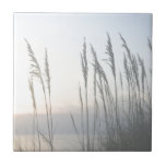 Morning Whisper Ceramic Tile<br><div class="desc">Morning Whisper II by Sharon Chandler.</div>
