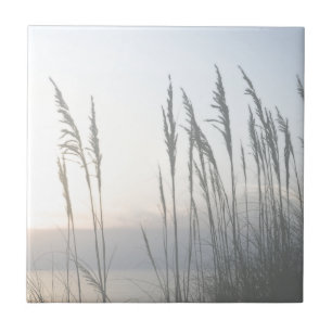 Morning Whisper Ceramic Tile