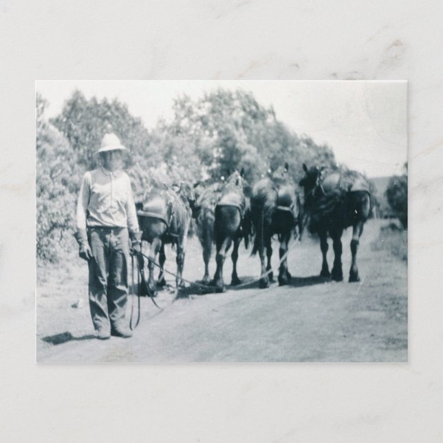 Morning work postcard (Front)