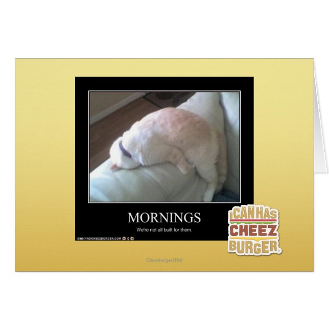 Mornings (Front Horizontal)