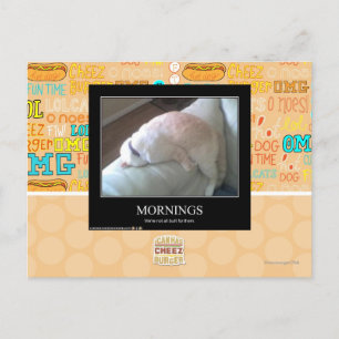 Mornings Postcard