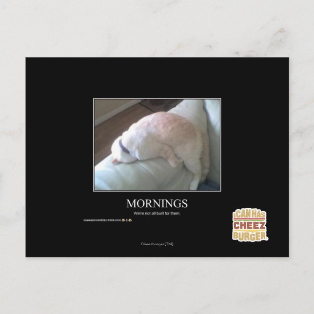 Mornings Postcard (Front)