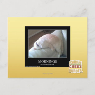 Mornings Postcard