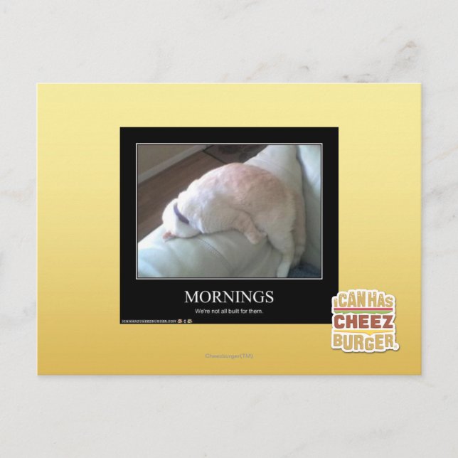 Mornings Postcard (Front)