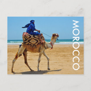 morocco arab ride camel seaside beach postcard