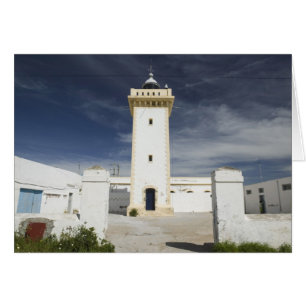 MOROCCO, Atlantic Coast, ESSAOUIRA: Essaouira