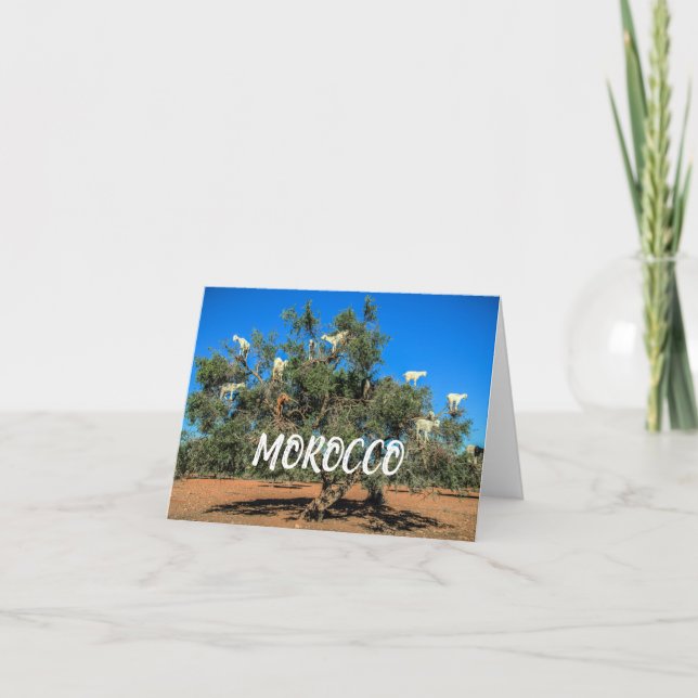 Morocco | Funny Goats in Trees Card (Front)