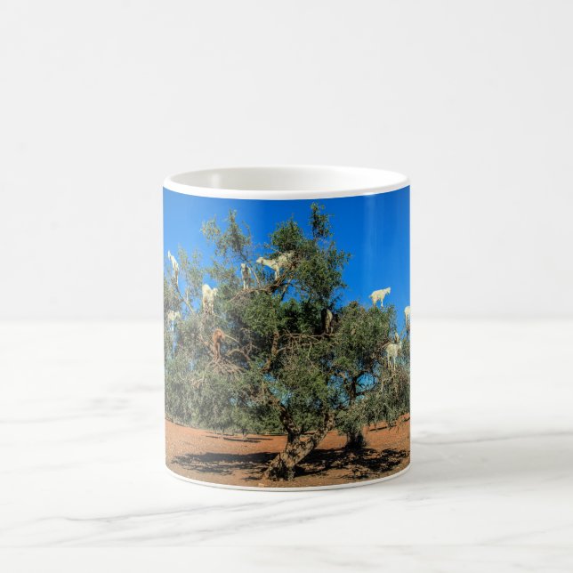 Morocco Funny Goats in Trees Coffee Mug (Center)