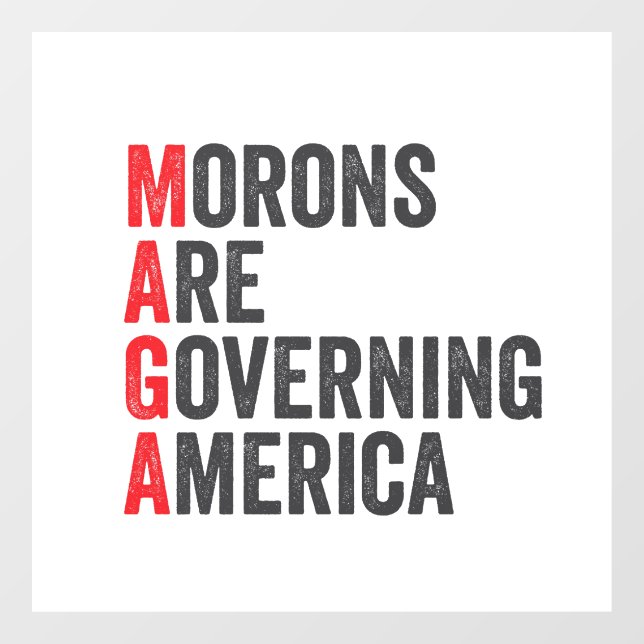 Morons Are Governing America 4th of July  (Sheet)