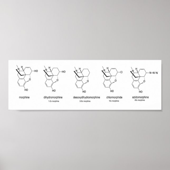 Morphine Chart (Front)