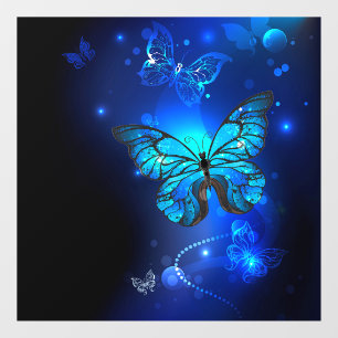 Morpho Butterfly in the Dark Background