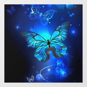 Morpho Butterfly in the Dark Background