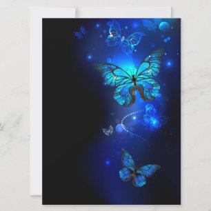 Morpho Butterfly in the Dark Background Announcement