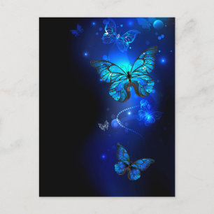 Morpho Butterfly in the Dark Background Holiday Postcard