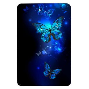 Morpho Butterfly in the Dark Background Magnet
