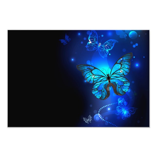 Morpho Butterfly in the Dark Background Photo Print (Front)