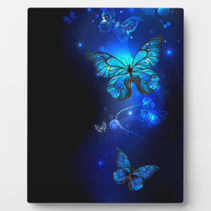Morpho Butterfly in the Dark Background Plaque