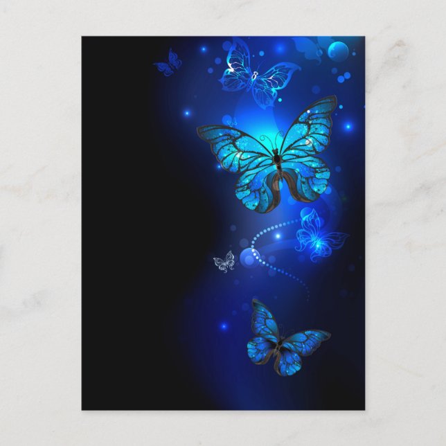 Morpho Butterfly in the Dark Background Postcard (Front)