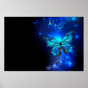 Morpho Butterfly in the Dark Background Poster