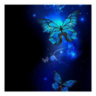 Morpho Butterfly in the Dark Background Poster