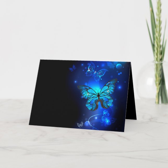 Morpho Butterfly in the Dark Background Program (Front)