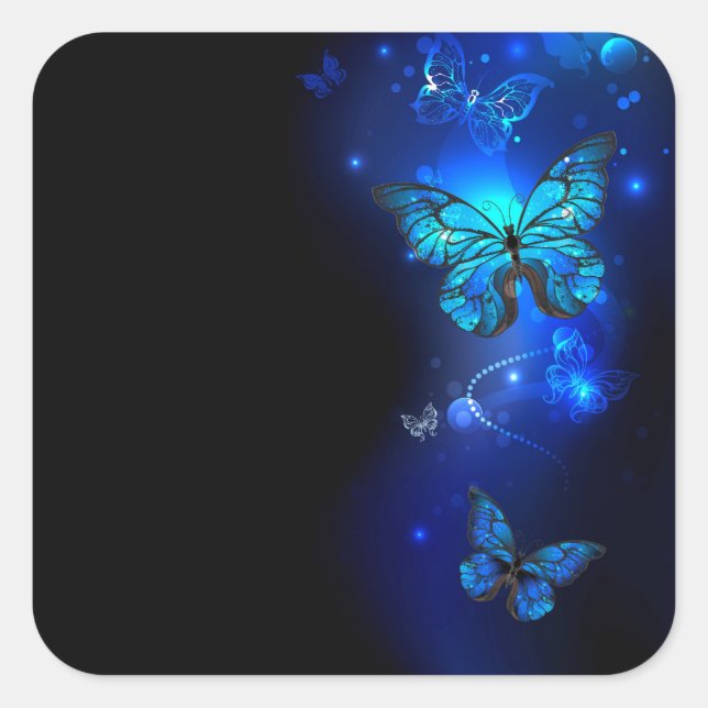 Morpho Butterfly in the Dark Background Square Sticker (Front)