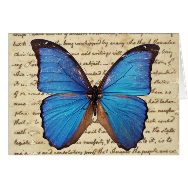 Morpho Butterfly on Vintage Handwriting Blank Card (Front Horizontal)
