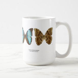 "Morpho deidamia" mug