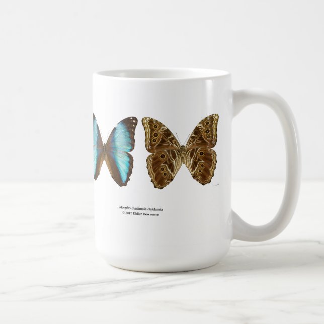 "Morpho deidamia" mug (Right)