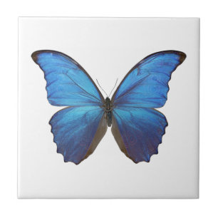 MORPHO DIDIUS D CERAMIC TILE