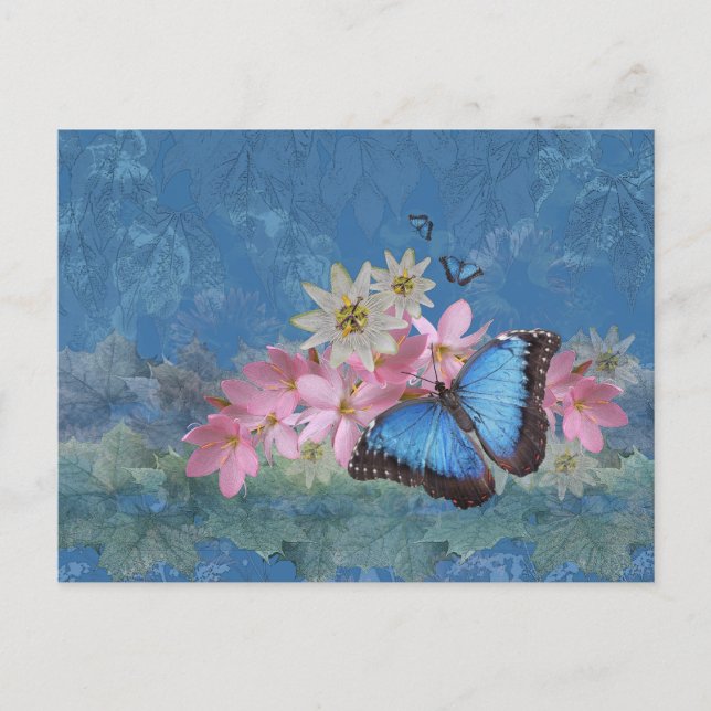 Morpho Magic Postcard (Front)