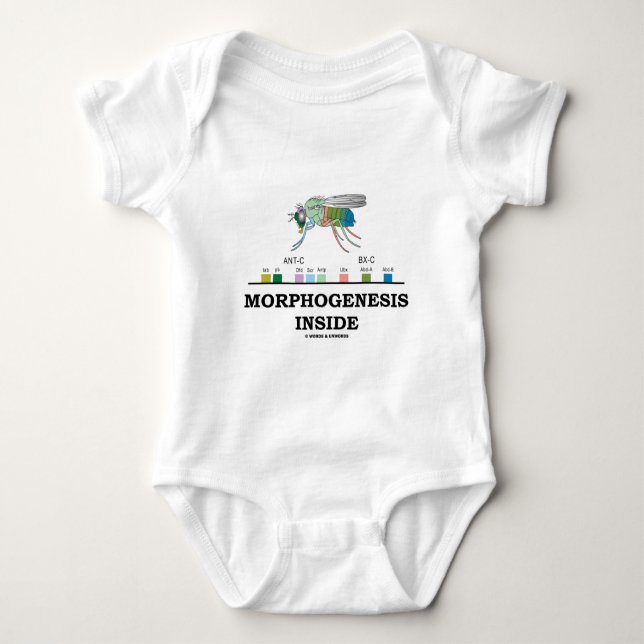 Morphogenesis Inside (Fruit Fly Drosophila Genes) Baby Bodysuit (Front)