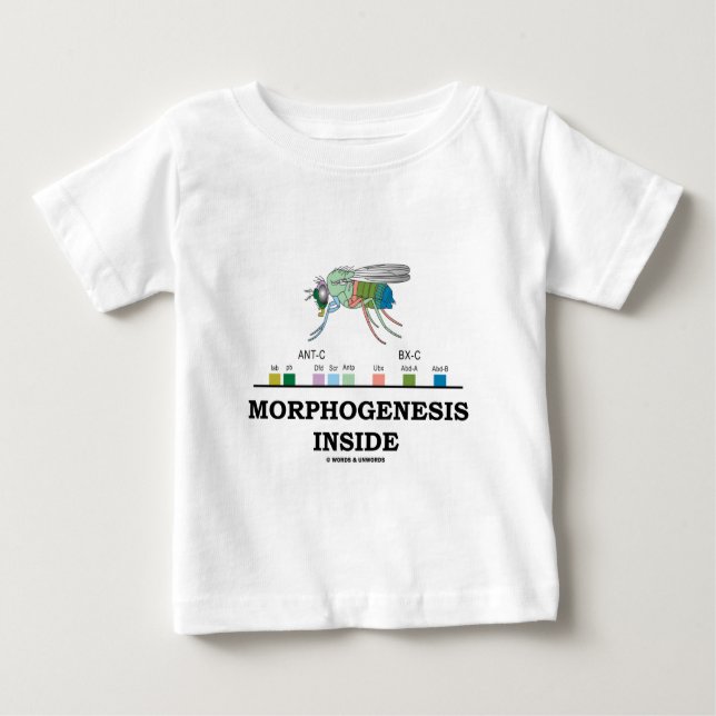 Morphogenesis Inside (Fruit Fly Drosophila Genes) Baby T-Shirt (Front)
