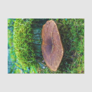 Morrel mushroom green nature grass tissue paper