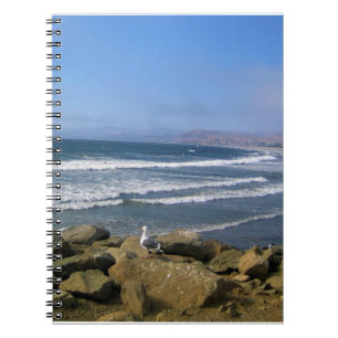 Morro Bay, California Notebook