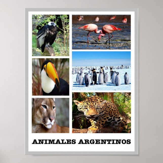 Mosaic Animales Argentinos - Poster (Front)