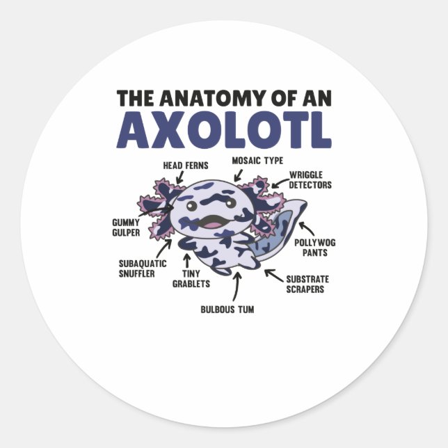 Mosaic Axolotl Explanation Anatomy Of An Axolotl Classic Round Sticker (Front)