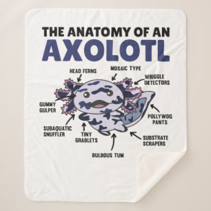Mosaic Axolotl Explanation Anatomy Of An Axolotl Sherpa Blanket