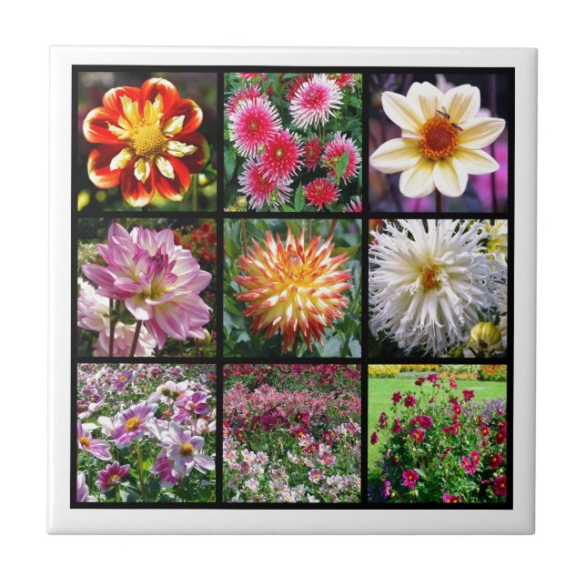 Mosaic dahlia flowers ceramic tile (Front)