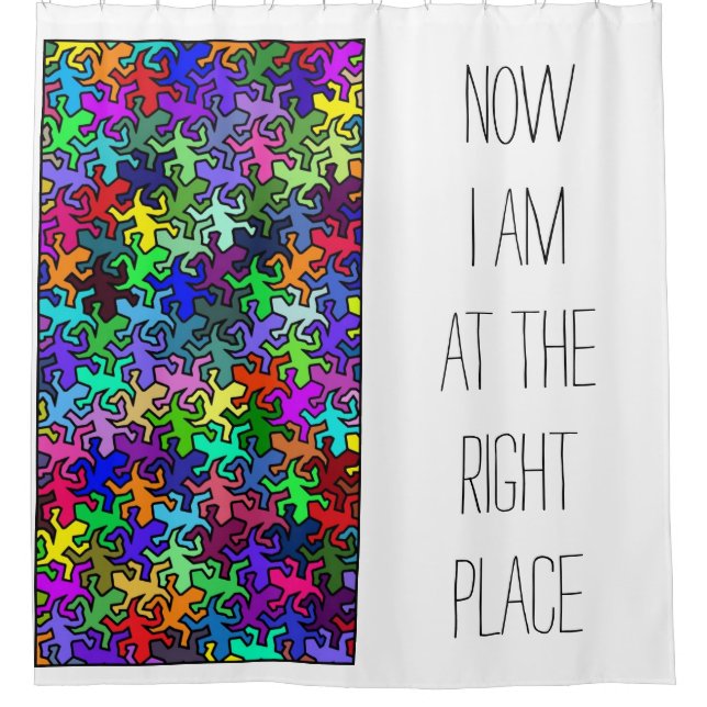 Mosaic Mirror Geckos Pattern - multi coloured Shower Curtain (Front)