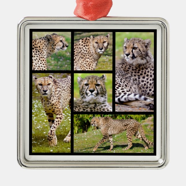 Mosaic photos of African Cheetahs Metal Ornament (Front)