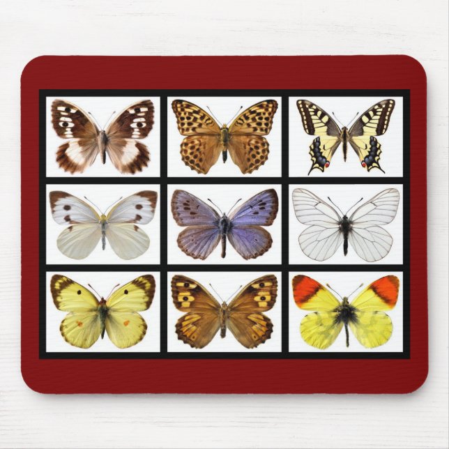 Mosaic photos of butterflies mouse pad (Front)